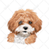 draw a cartoon for your pets in 24 hour