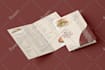 design premium restaurant menu, digital menu board, and printable menu