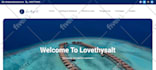 design and develop a fully responsive wordpress website
