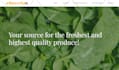 design a professional wordpress website with woocommerce, SEO and elementor