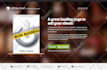 create wordpress website, wordpress website design development, business website