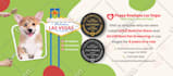 do social media kit, facebook cover, and instagram post