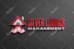 design a profesional and outstanding logo
