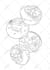 draw coloring book pages or books for children