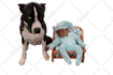 do background removal in photoshop and bulk image editing