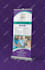 do a professional trifold brochure, flyer design