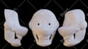make 3d model for 3d printing cosplay props