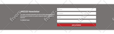fix divi website issues instant