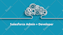 be your salesforce admin or salesforce developer