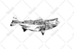 do hand drawn fish art and monochrome hunting design