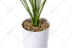 take studio quality amazon product photography