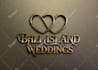 design or redesign your business logo into 3d gold or silver metallic