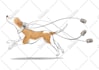 create cute pet illustration