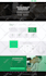 develop ewallet website for you