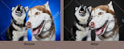 do background removal, hair masking, photo retouching, image editing