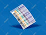 design flyer and brochure