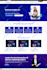 design top notch booking website in wordpress