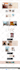 create a professional responsive wordpress website or blog