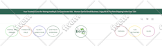 design and customize your bigcommerce or shopify store