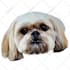 draw your pet into a cartoon vector art