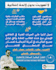 design a professional arabic infographic social media designs