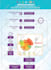 make outstanding flow chart infographic