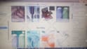 design a shopify hair extension wig store