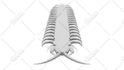 create a 3d model for you