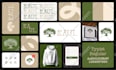 design logo with brand style guidelines or brandbook