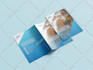 design corporate reports, pdfs and data visualizations