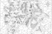illustrate medieval fantasy and sci fi maps