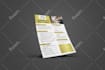 design company profile, annual report, brochure in eng, spanish, french, german