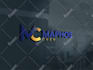 design a professional brand logo design