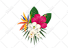 create clipart illustrations of any styles