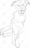 do line art illustrations