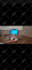 record a selfie or video for tiktok amazon testimonial ugc