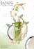 design cosmetic product posts and packging