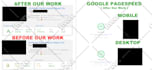 do wordpress speed optimization for google pagespeed insight