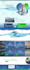 design a modern, fast and responsive wordpress website