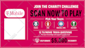 design professional business flyer and poster
