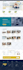 design and develop a professional wordpress business website