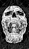draw you a skeleton and skull design