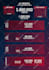 design a professional premium infographic