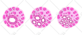 illustrate scientific figures for journal publications