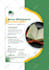 design beautiful flyer, brochure, pamphlet and poster