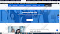 create a professional wordpress website