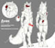 draw furry reference sheet nsfw or sfw