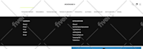 edit your wordpress footer and header files