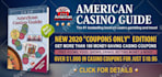 design professional banner ads