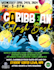 do any kind of flyer summer, beach, winter travel, picnic, latin, cruise flyer